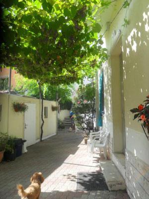 Albergo Villa-Brandi --- Pensione Completa --- Bellaria-Igea Marina Luaran gambar